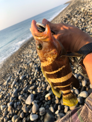 ライトショアジギング！