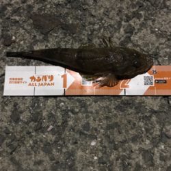 ライトワインド