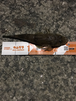 ライトワインド