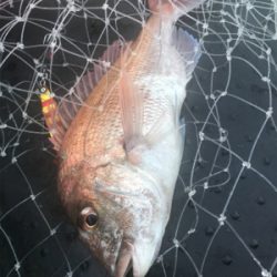 タチウオ狙いで出船