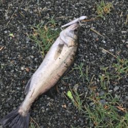 秘密の場所でゲット