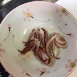 エギングでヤリイカ