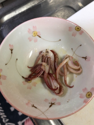 エギングでヤリイカ