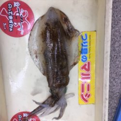 お盆で混む前に