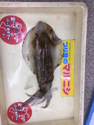 お盆で混む前に