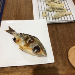 久々にファミリーフィッシング