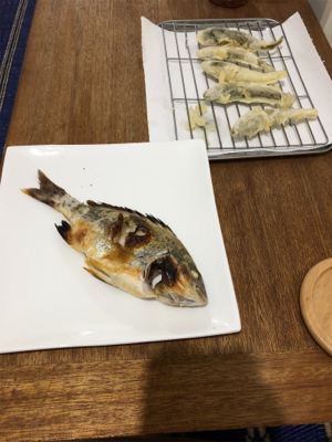 久々にファミリーフィッシング