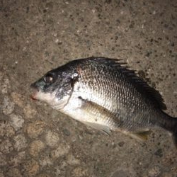 タイミングが合えば！！