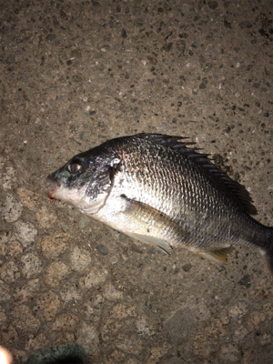 タイミングが合えば！！