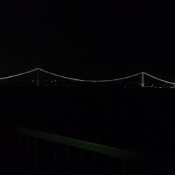 ケンサキイカナイトゲーム☆