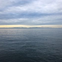 ナイスサイズのガシラダブル♪