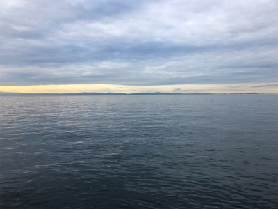 ナイスサイズのガシラダブル♪