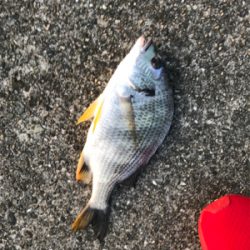 水温が高いのか(T . T)