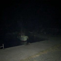 伊方町・アジング好調