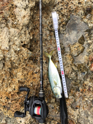 ライトショアジグ  ビフテキ