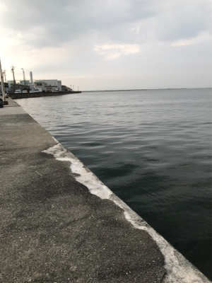 アジは何処に行きました？