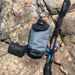 もうブリが来たよ