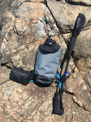 もうブリが来たよ