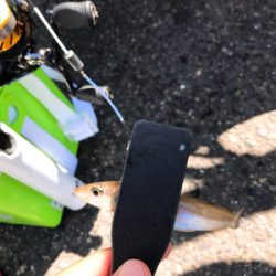 激濁りキッシング