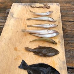 キャンプで釣り