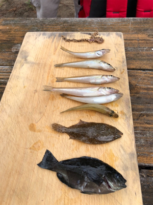 キャンプで釣り