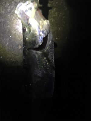 全く知らなかったです。