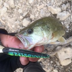 巻き巻きウキウキ