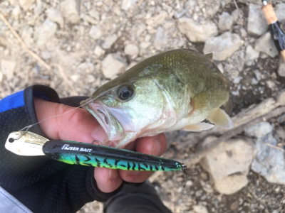 巻き巻きウキウキ