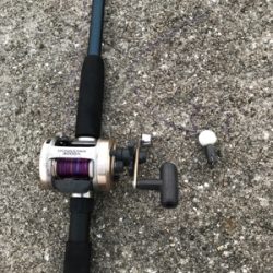 帰省と共にタコ