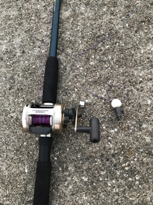 帰省と共にタコ