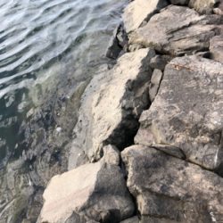 久しぶりの釣果となりました。