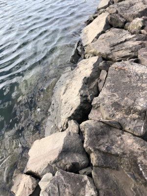 久しぶりの釣果となりました。