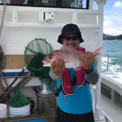 落とし込みサビキ  鳴門  まるかつ