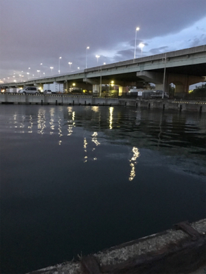 チャリコ祭りだ！