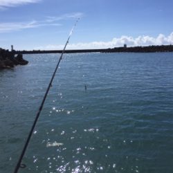 ラッキーパンチ