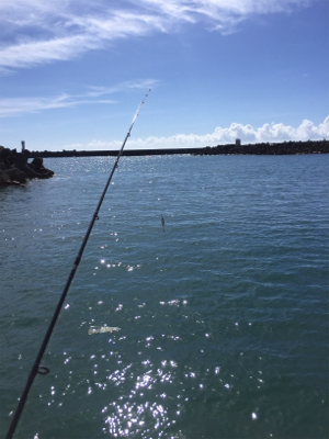 ラッキーパンチ