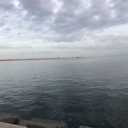 タチウオ、始まった！