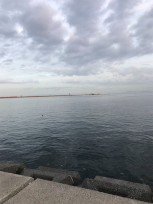 タチウオ、始まった！