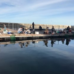 貝塚でサビキからの田尻の釣堀。