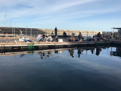 貝塚でサビキからの田尻の釣堀。