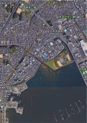 高活性チニング