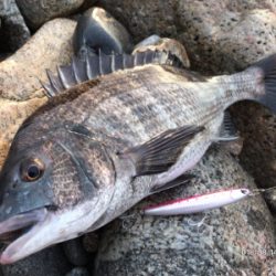 トップゲーム❷