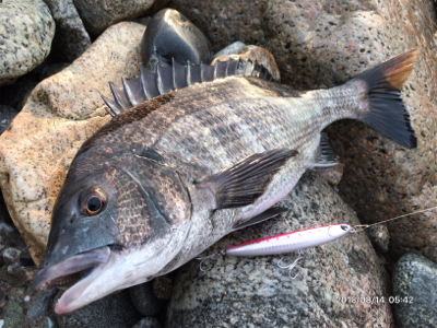 トップゲーム❷