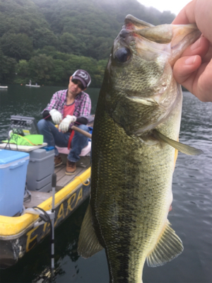 ８月１２日の榛名湖バス釣り！