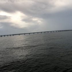 ライトショアジギングのちワインド