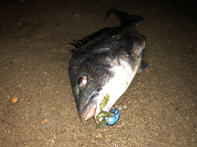 高活性チニング