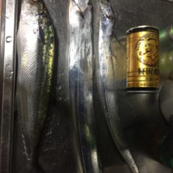 釣れてると情報を見て！