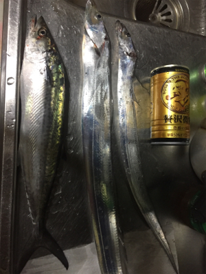 釣れてると情報を見て！