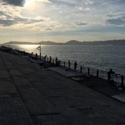 シオ回ってます