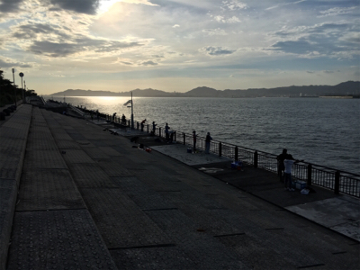 シオ回ってます